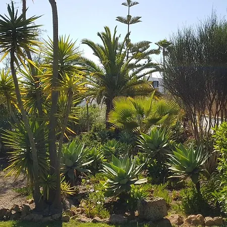 Carvoeiro Villa