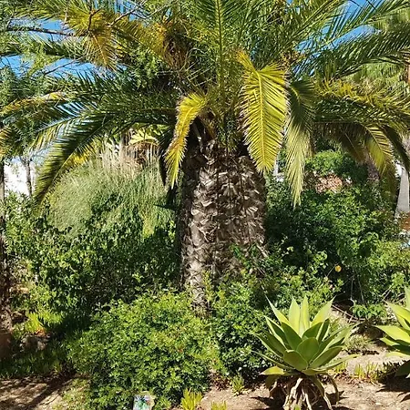 Carvoeiro Villa Carvoeiro (Lagoa)